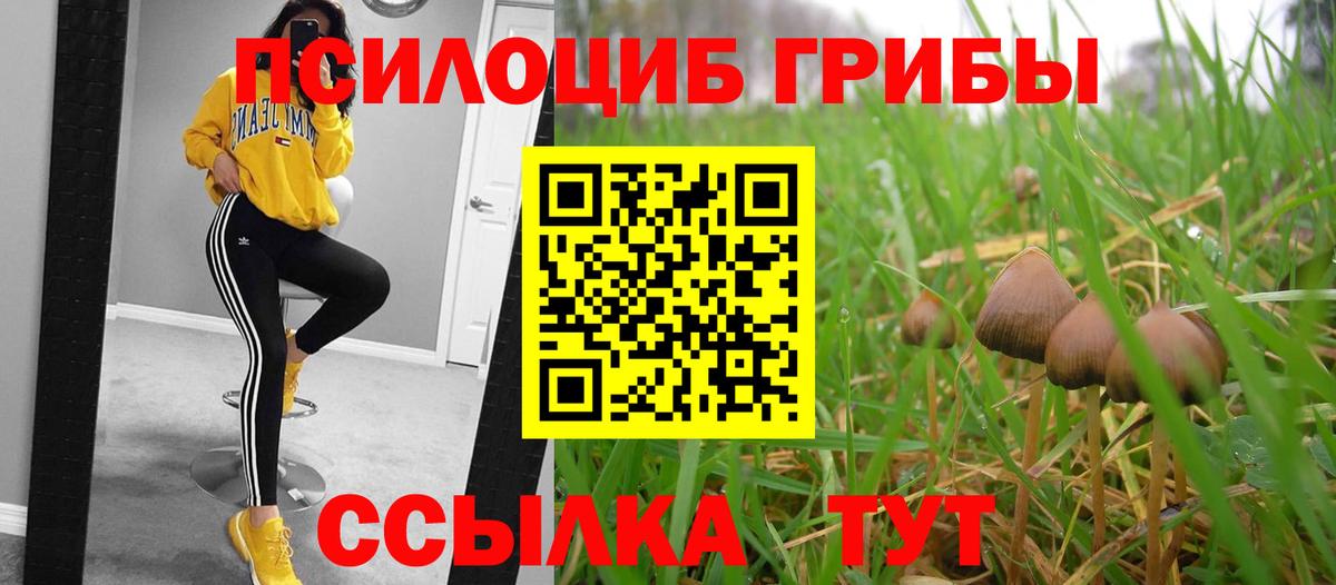 Псилоцибиновые грибы Cubensis  Псилоцибиновые грибы Psilocybine cubensis  Тверь  Вход с VPN 